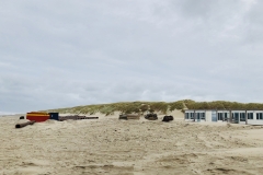 Texel